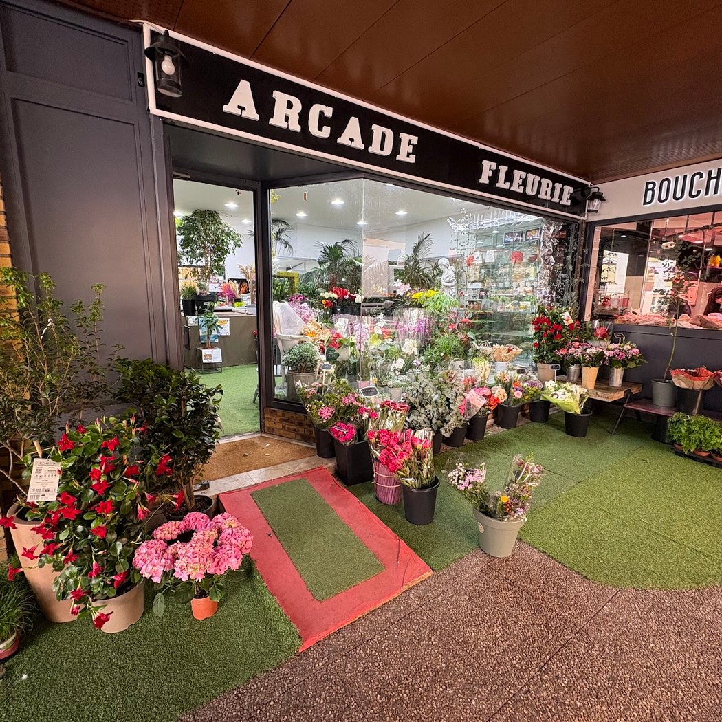 Arcade Fleurie 2